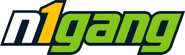 n1gang logo